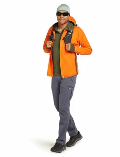mmtsklep Polary I Bluzy-Bluza Icebreaker Merino 260 Quantum Long Sleeve Zip Hoodie Jacket Men