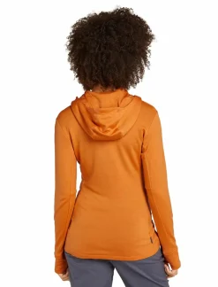 mmtsklep Polary I Bluzy-Bluza Icebreaker Merino 260 Quantum Long Sleeve Zip Hoodie Jacket Women
