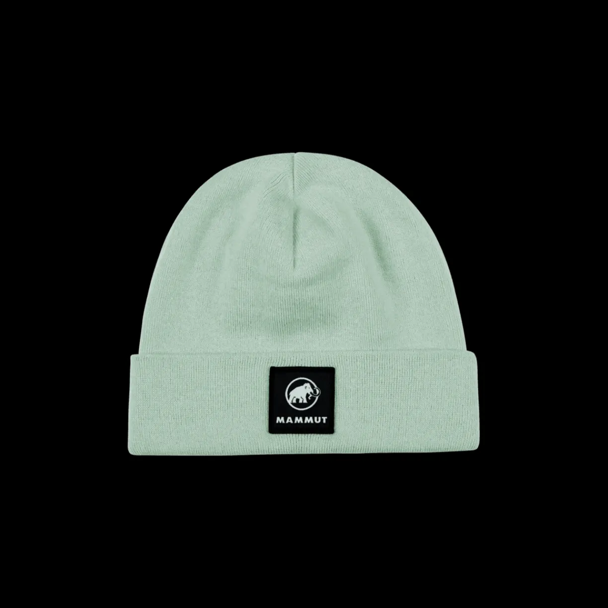 mmtsklep Czapki Zimowe I Opaski|Czapki Zimowe I Opaski-Czapka Mammut Fedoz Beanie