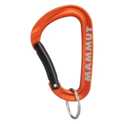 mmtsklep Akcesoria-Karabinek Mammut Mini Carabiner Workhorse Keylock L