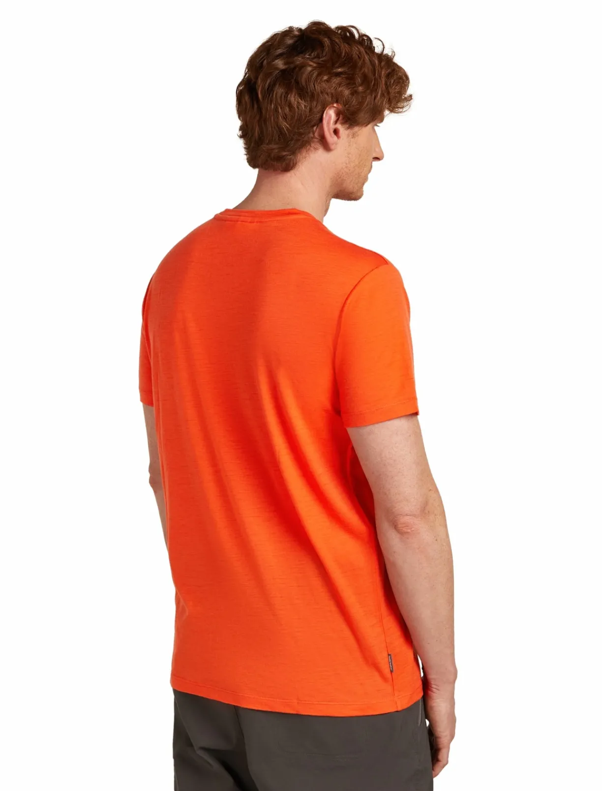 mmtsklep Koszulki I Koszule-Koszulka Icebreaker Merino Tech Lite SS Tee Bear Tour Men