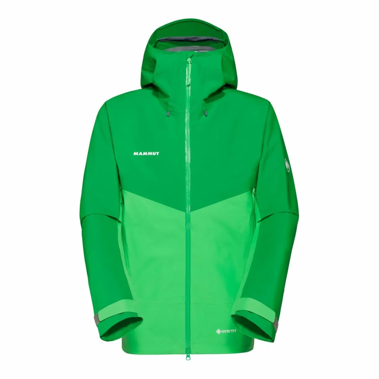 mmtsklep Kurtki I Kamizelki-Kurtka Mammut Crater IV HS Hooded Jacket Men