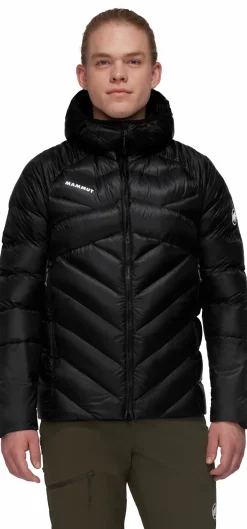 mmtsklep Kurtki I Kamizelki-Kurtka puchowa Mammut Taiss IN Hooded Jacket Men
