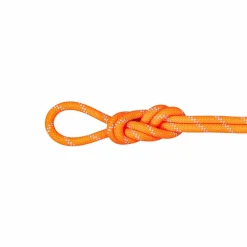 mmtsklep Liny-Lina dynamiczna Mammut 9.5 Alpine Dry Rope 70 m